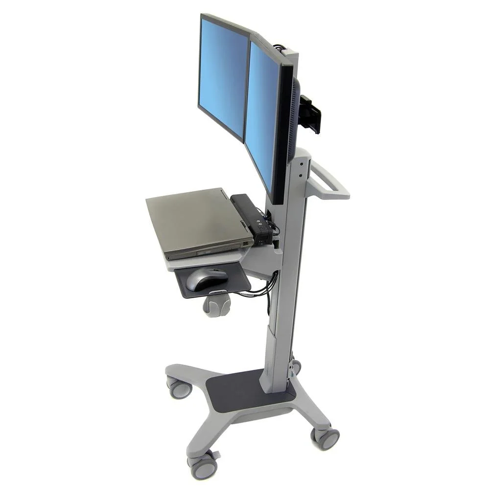 Ergotron 24-194-055 Neo-Flex® Dual WideView WorkSpace