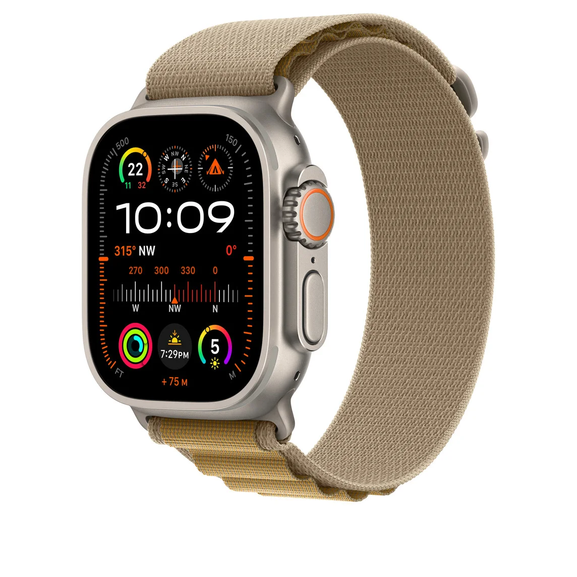APPLE MXN33FE/A 49mm Tan Alpine Loop -Large - Natural Titanium Finish