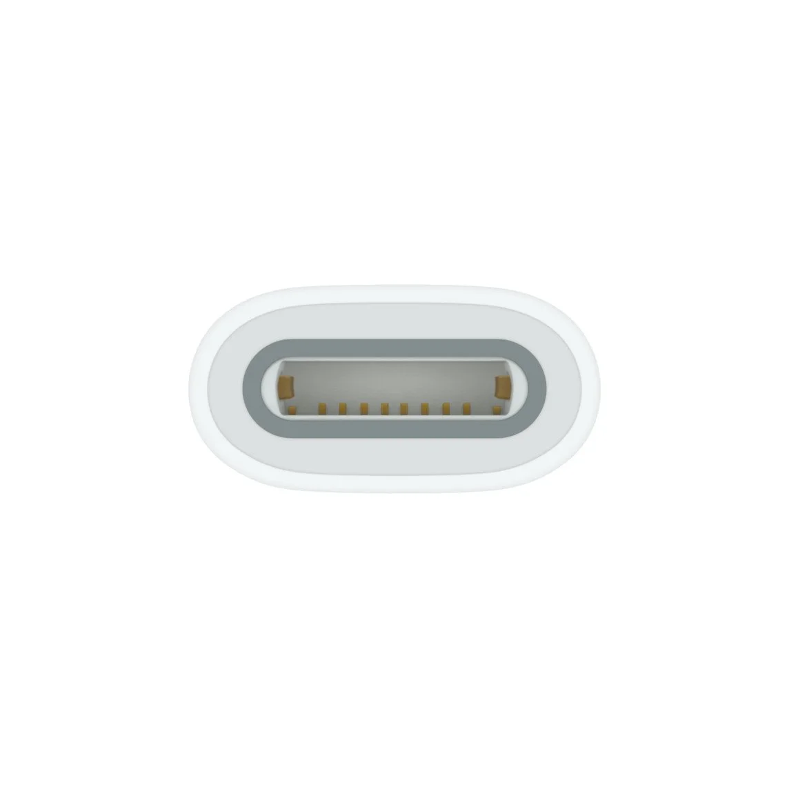 Apple MQLU3ZA/A USB-C to Apple Pencil Adapter view 4