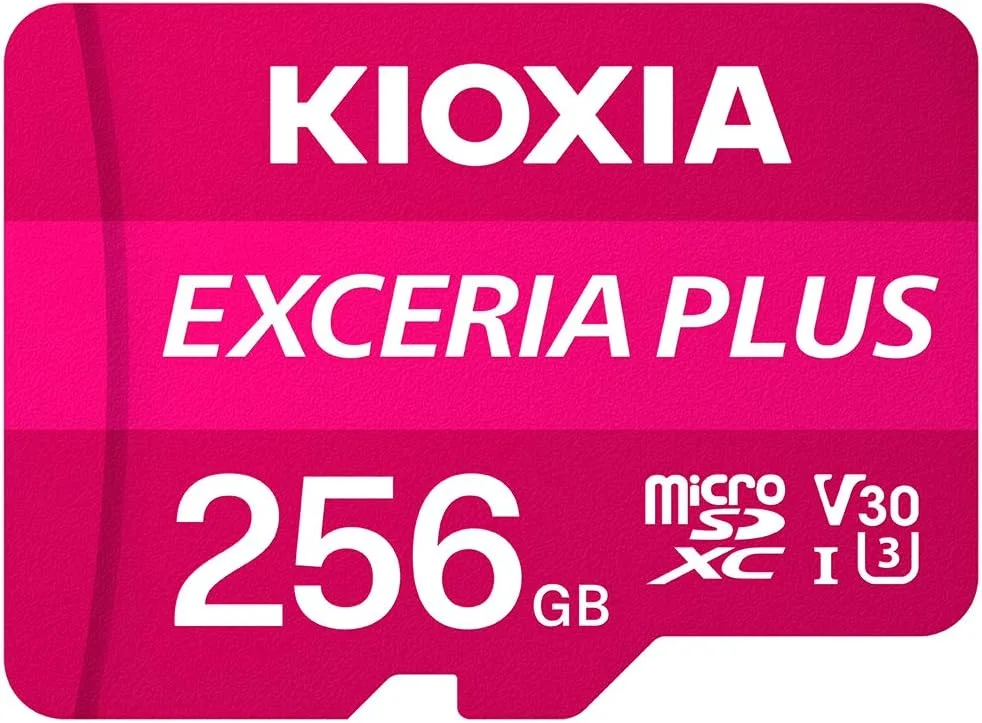 KIOXIA LMEX2L256GG4 KIOXIA EXCERIA CL10 UHS-I U3 V30 4K A1 R100/W50 w/o adapter (G2)