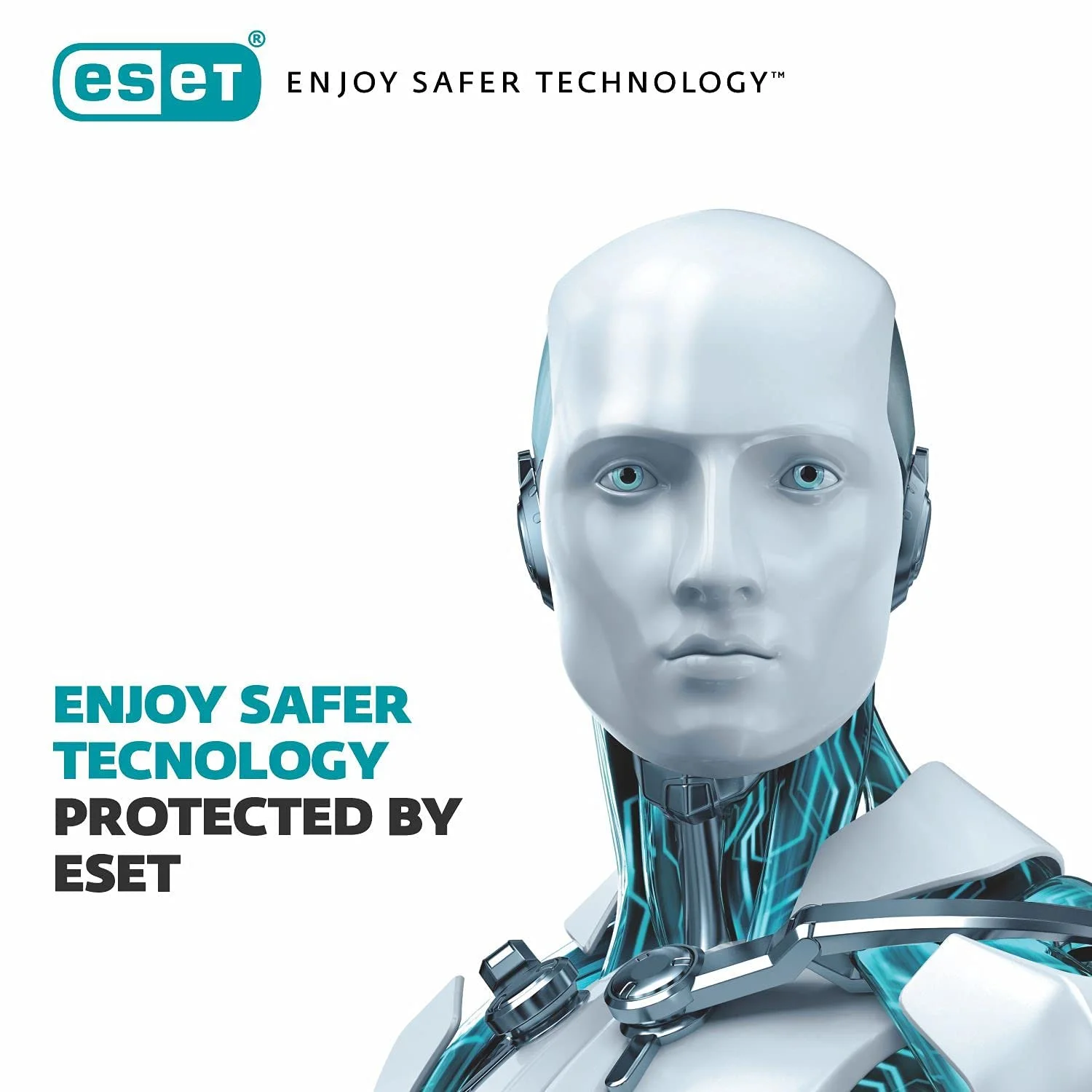 ESET-IS-2Y1U Eset Internet Security 2 Years 1 User
